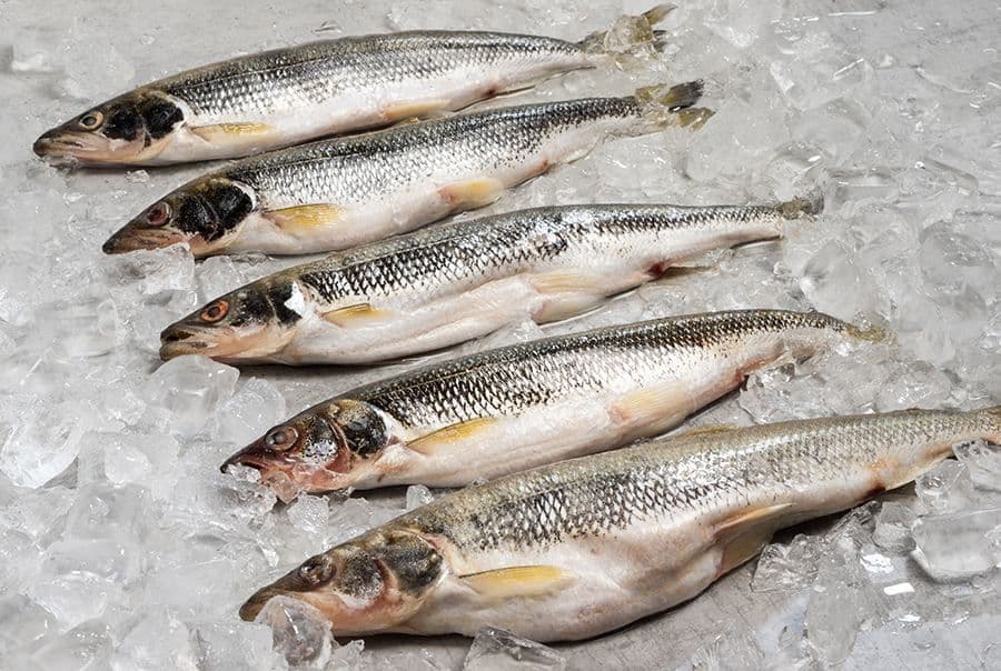 Корюшка свежемороженая сахалинская (Сахалин)